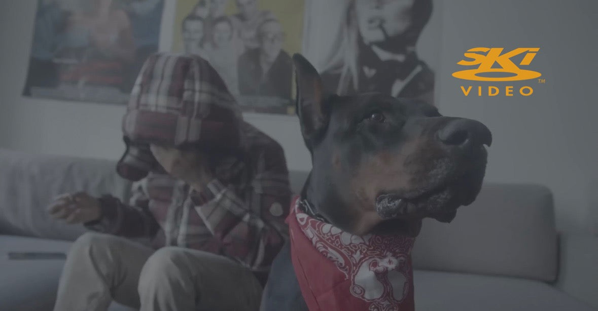 PROTECT - UNDERCOVER GROUPIE [OFFICIAL MUSIC VIDEO]